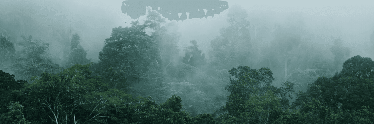 1TGsuJiD7il3EB0sonDWNtN82cU