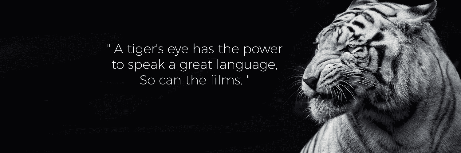 2bRJHDaYNpACjmSQhSjmhI5VIk