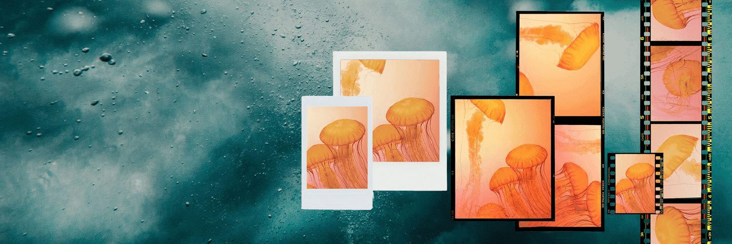 6A9XeWrRbKIEIvmDg0ApcnUNA