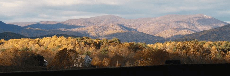 9jHndMuPJKiRS83cgVaxNDi8g4