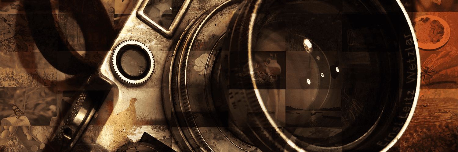 A0SNG3mWxNdlP5NQZzRcSSrObs