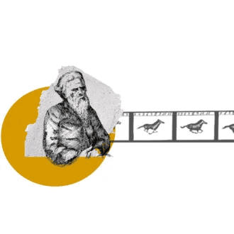 B2xxMrzRoWO1BcuTFFHH9frAZnw