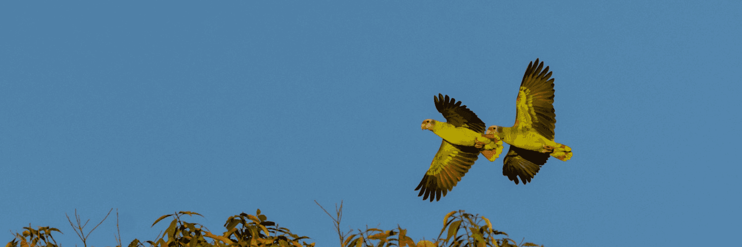 FzvuT0mDvUF2NwT195CZrI1XYE