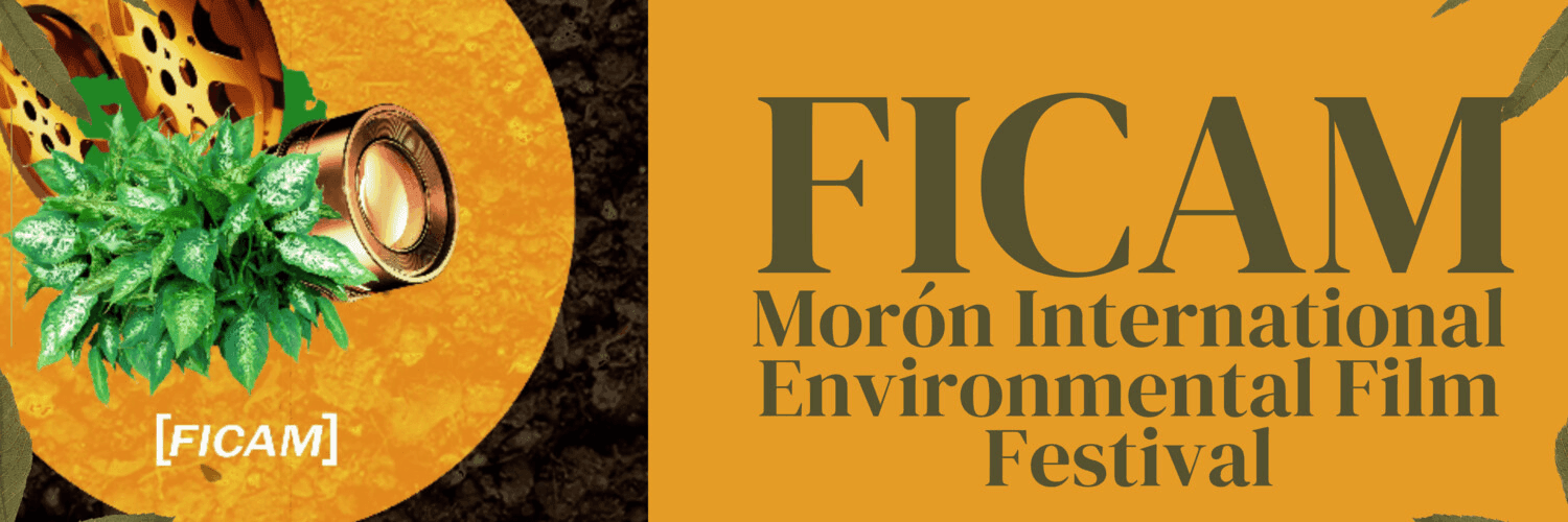 IXnEcHDMtaf9OArxGXpyfnhpo0