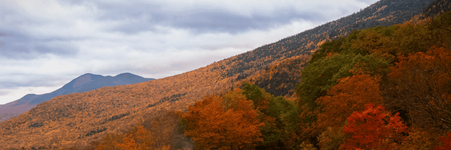 OOXRavnKG44hkFS0I4A5l9ktuhc