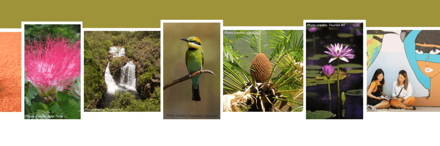 Pjx6douooXA2j5iMR1DZfzxkk