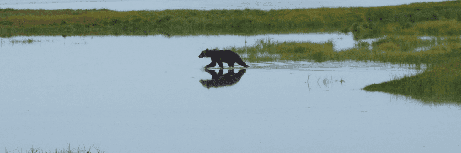 QYDkINpm9R07eDGqxNmYCSsS410