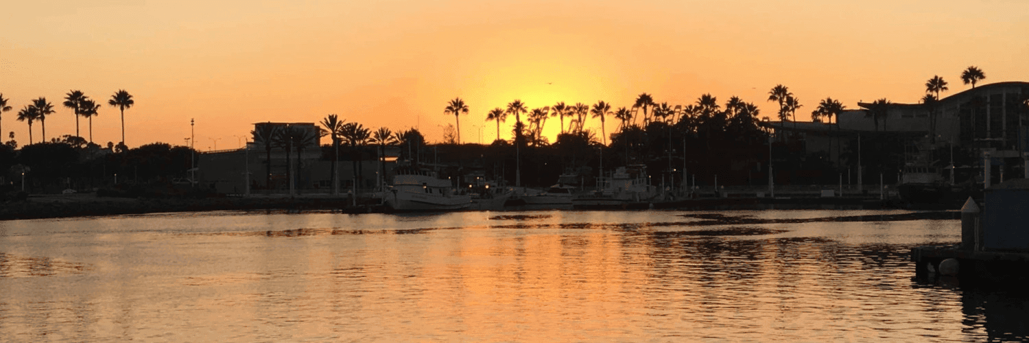 QnvkWZVfK2qoj2S5052aoog29I