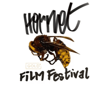 Qv6CksH00AF6rwBLCpmmlRJLkcM