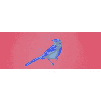 ScXpfSTnNg4anAoiUWMaVjVQpM