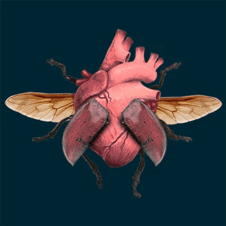 T4paiGzWZuDLmFCQphJdJcCjKkI