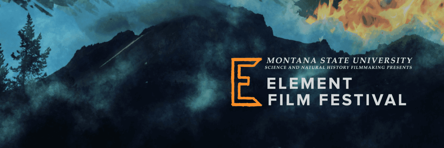 UnAfroFbZeA5b39s1DvlJgH4BVM