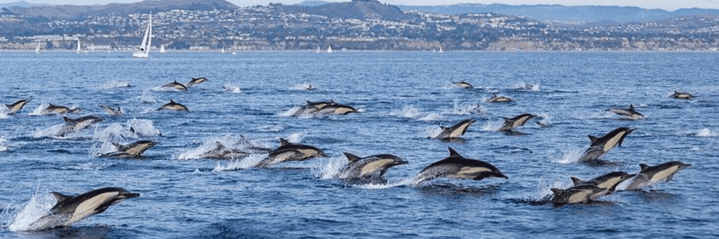 Uylx01ZQREeMt7NFxtCk2TvxcMY