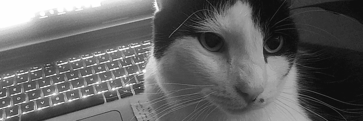 a1lmOOu8qRLZvfPgpJFs5U1LcXo