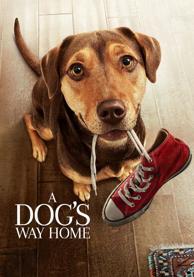 A Dog’s Way Home movie poster