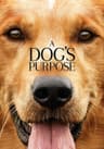 A Dog's Purpose movie poster
