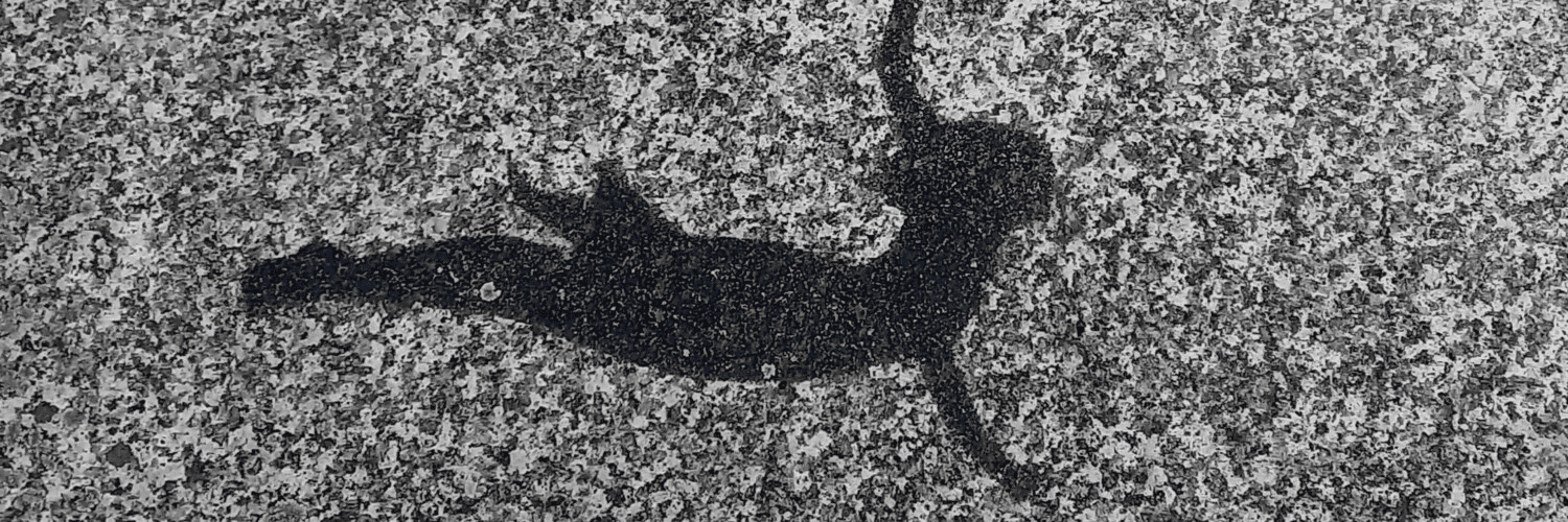 cSsqG1H6ggD7Q0cjmxerYh8hGg