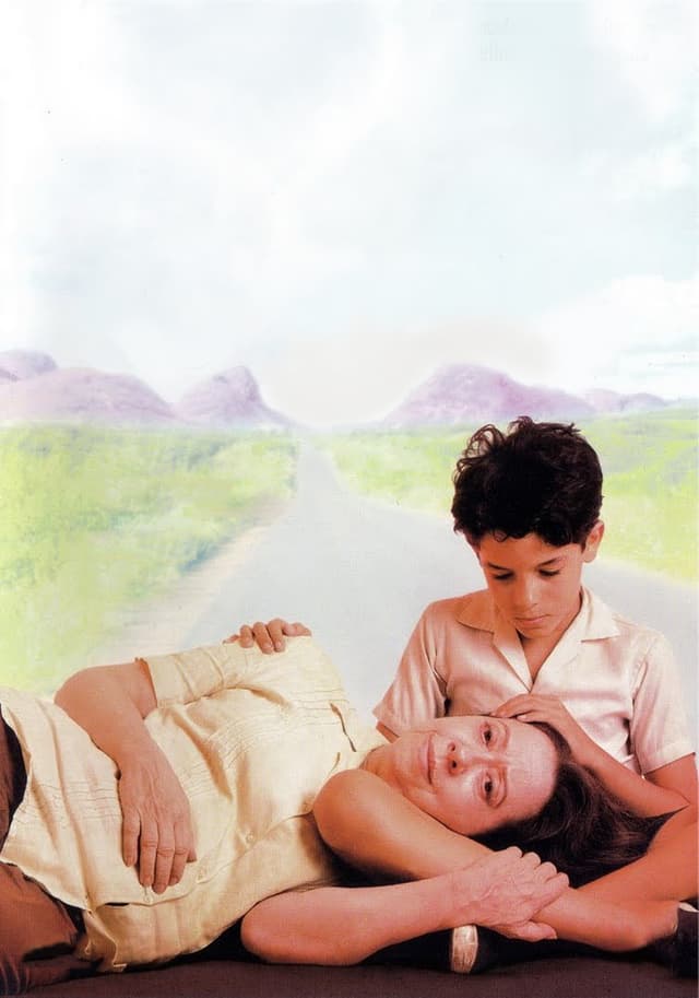 Central Station movie poster