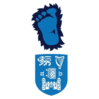 fBkLnAcntfldzIwnCbNN9x6kcI