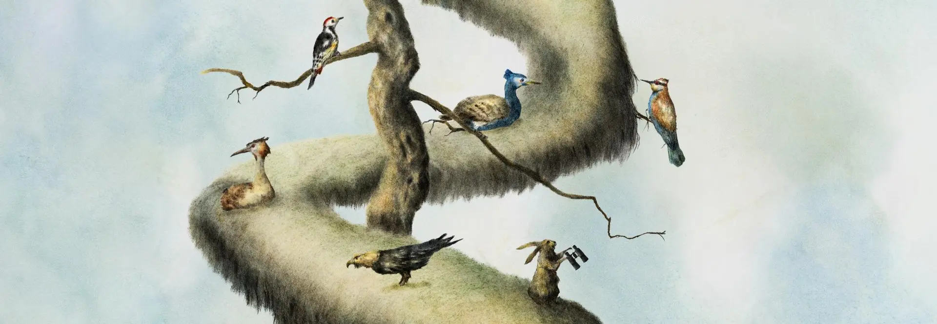 Annecy Festival 2026