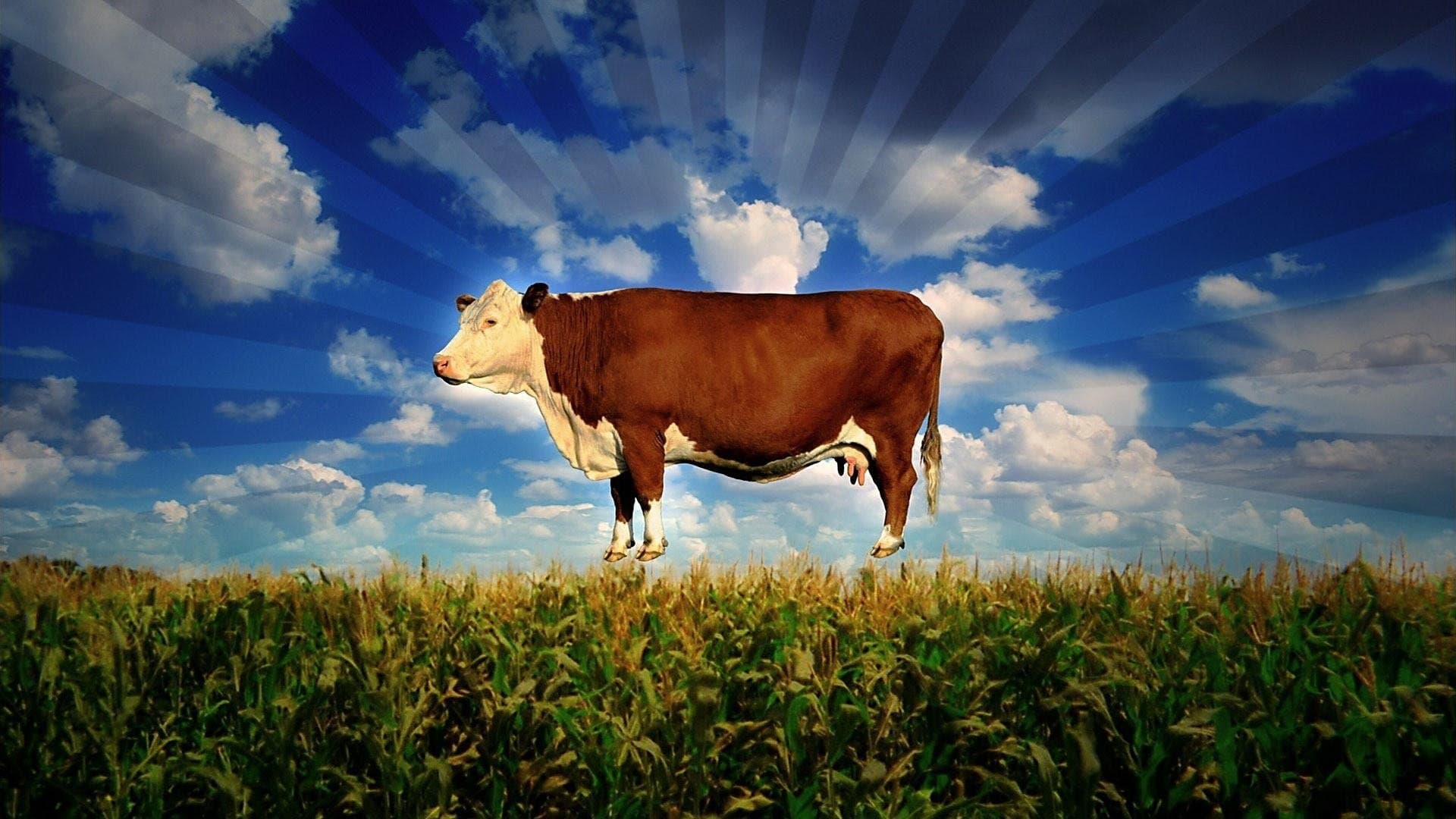 Food, Inc. (2008) — Key Art