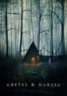 Gretel & Hansel movie poster