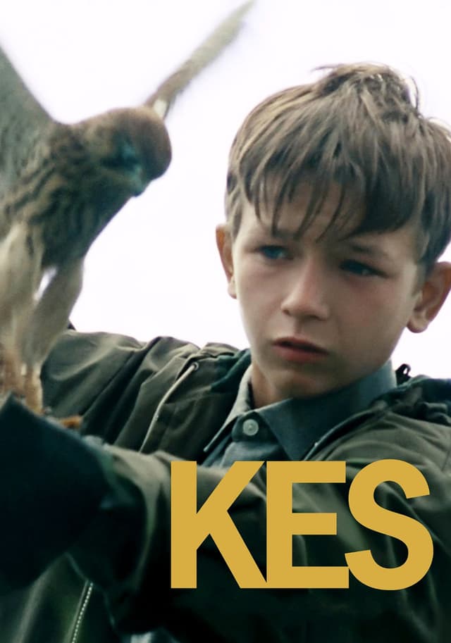 Kes movie poster