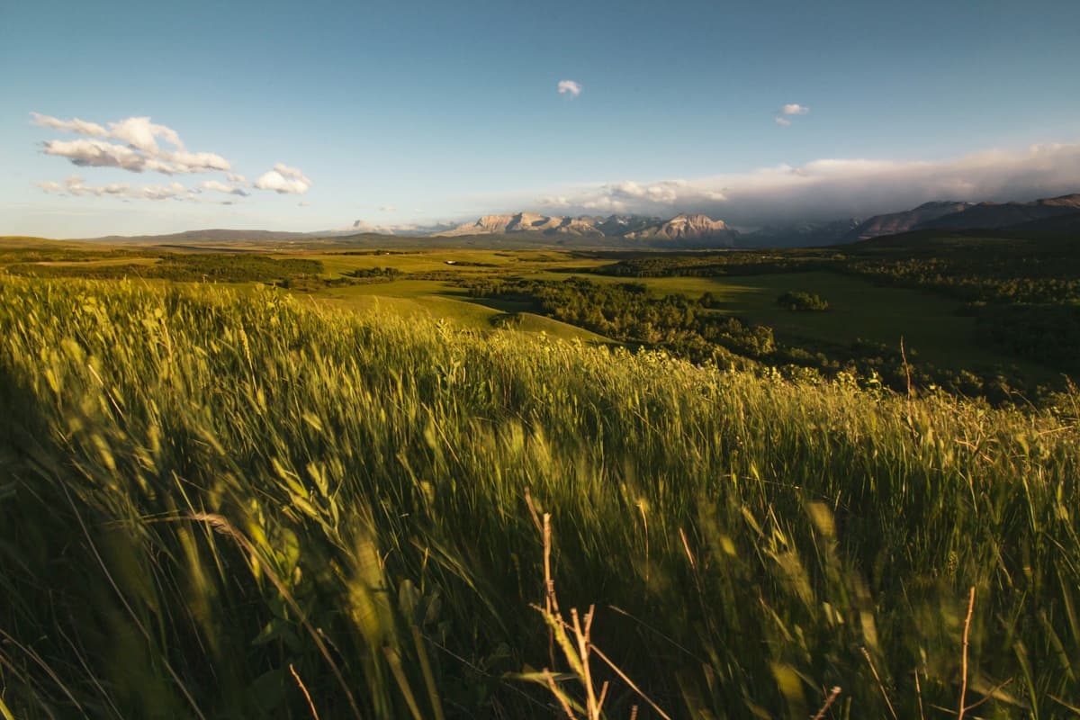 Alberta Film Tax Credit film production location