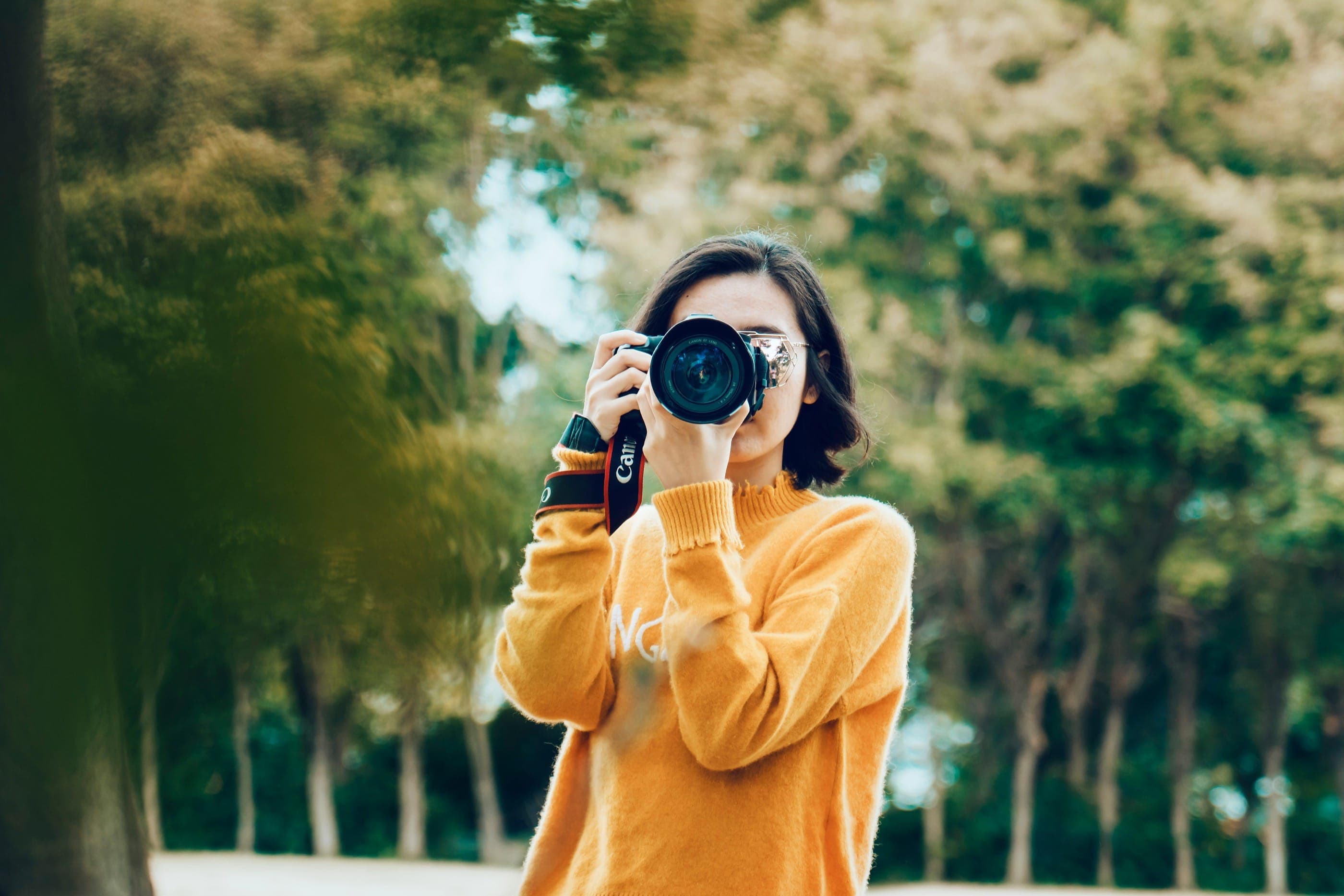 Additional Photography Director