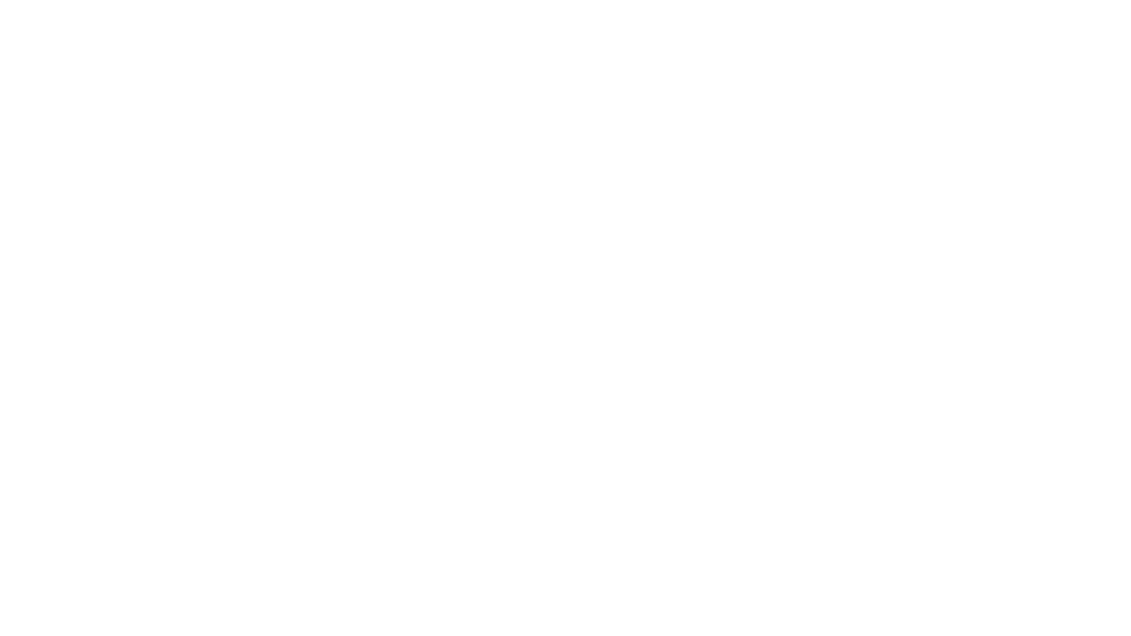 Nashville Film Festival logo