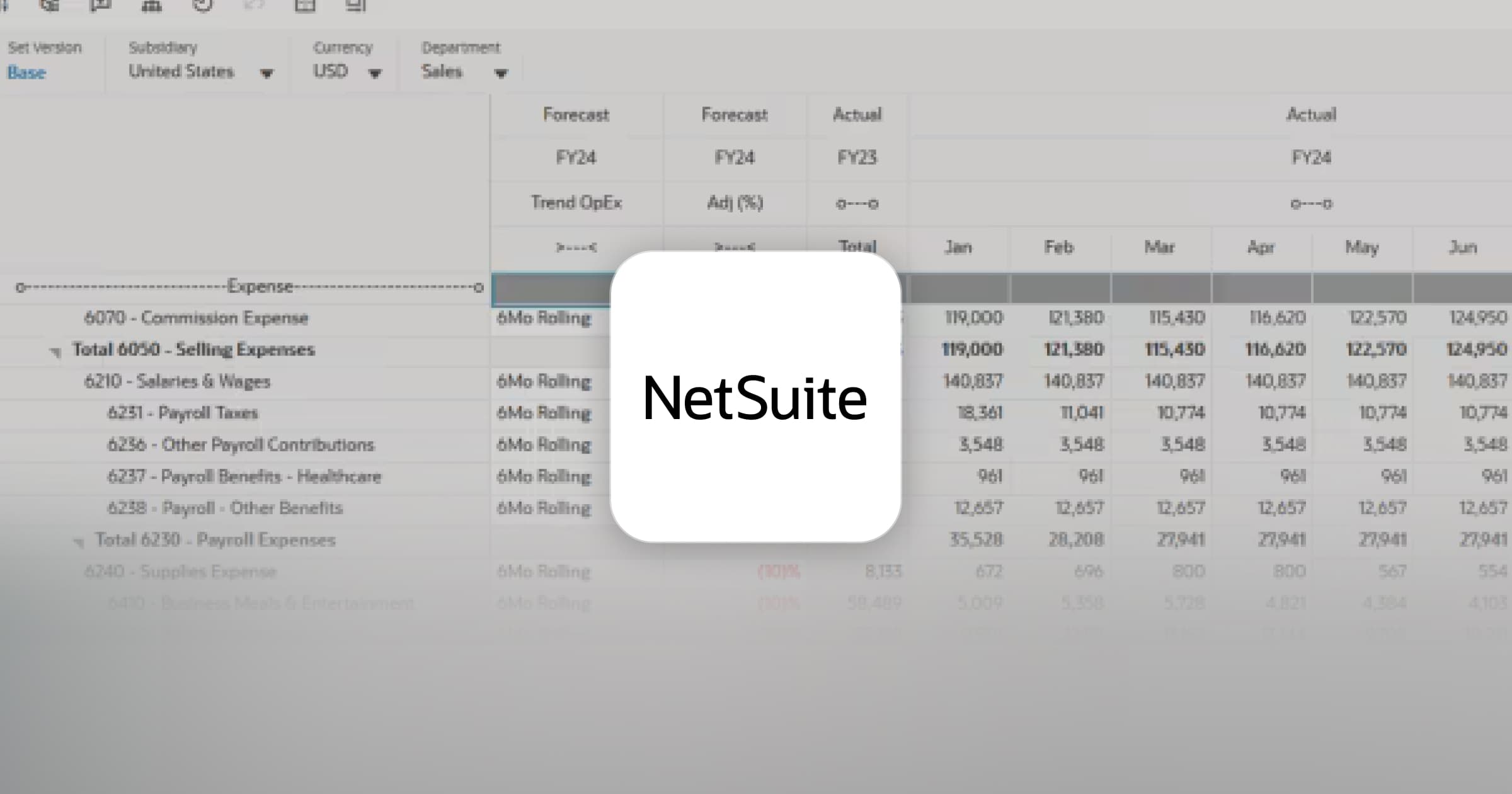 NetSuite budgeting dashboard