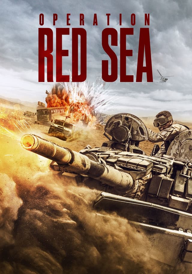 Operation Red Sea movie poster