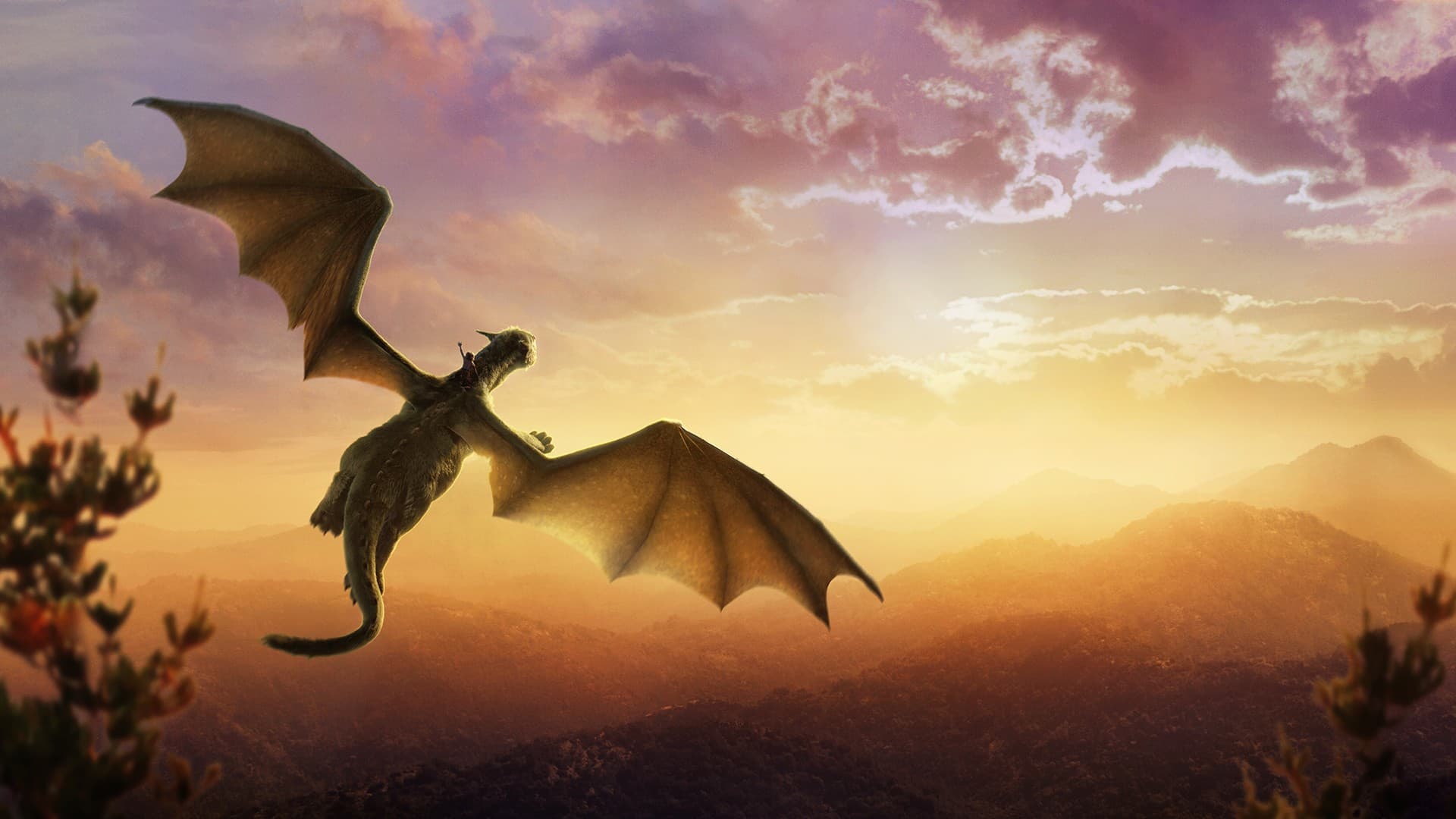Pete's Dragon key art background