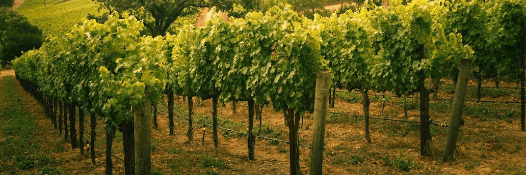 sbBkvRxTxolFdMxAYDSXTt85RoI