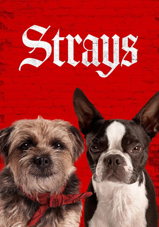 Strays movie poster