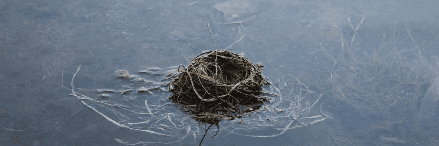 tdSn6GnpXdzeGG5xVIjCLgSSrJg