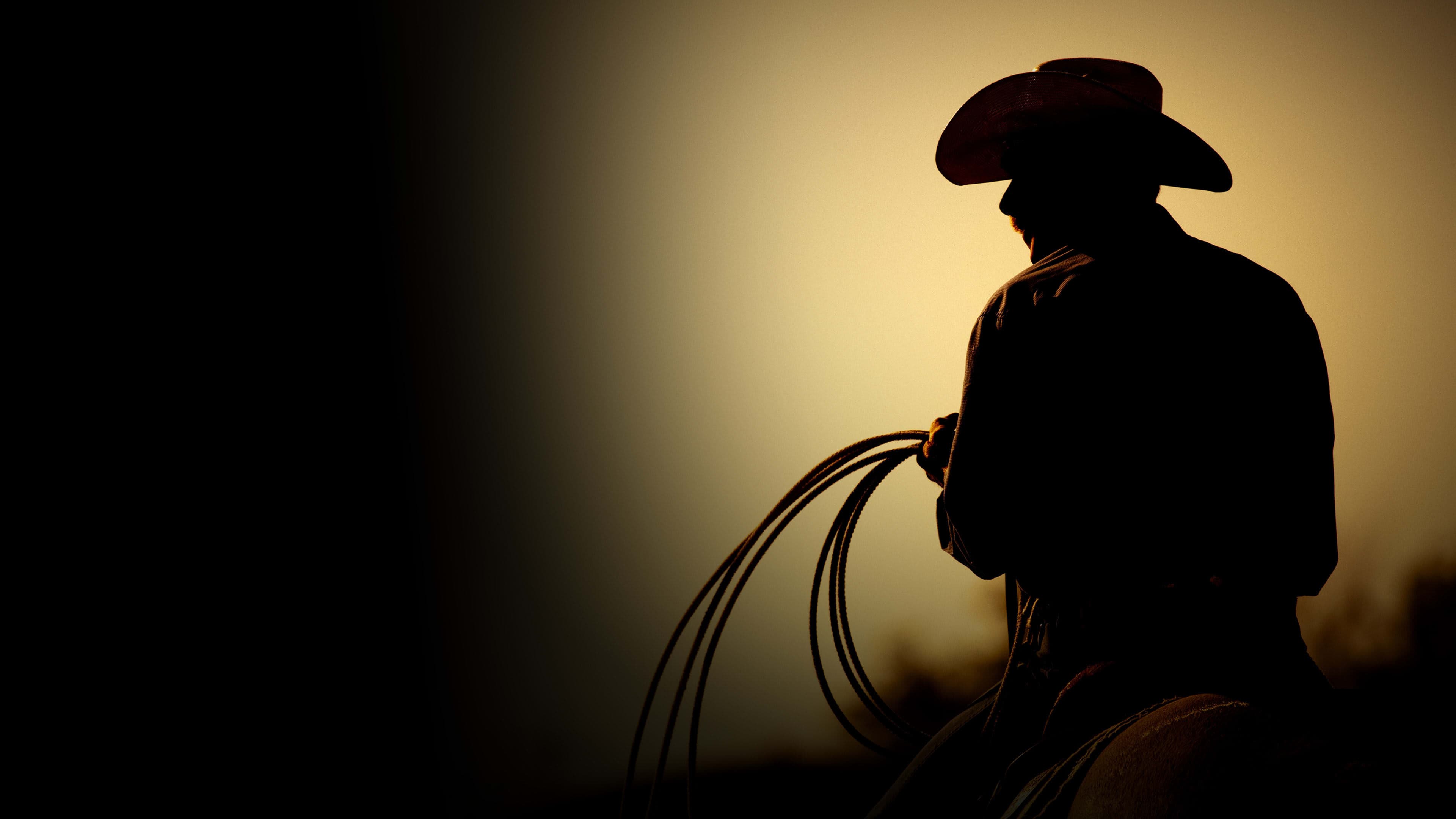The Last Rodeo key art background