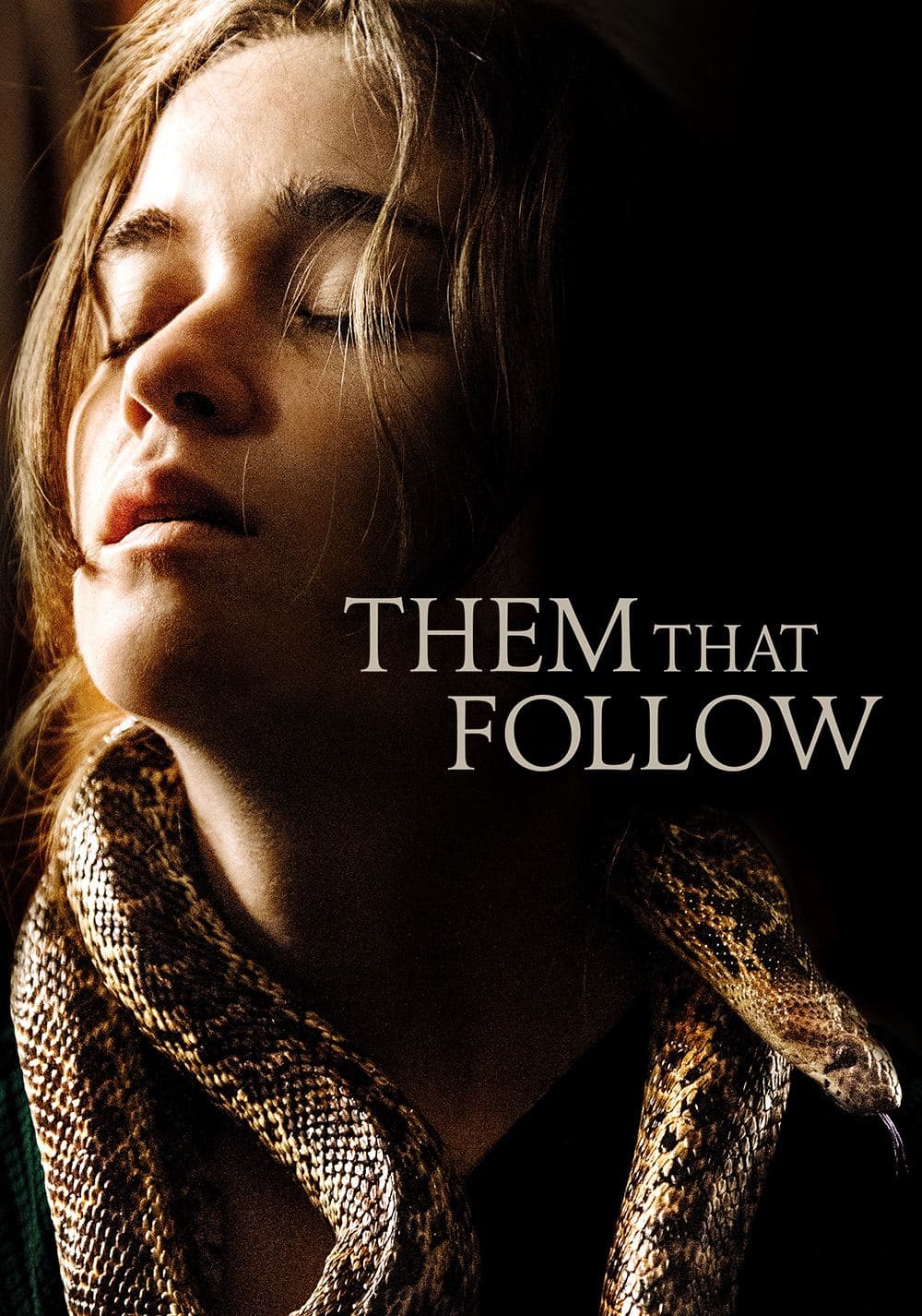 Them That Follow movie poster
