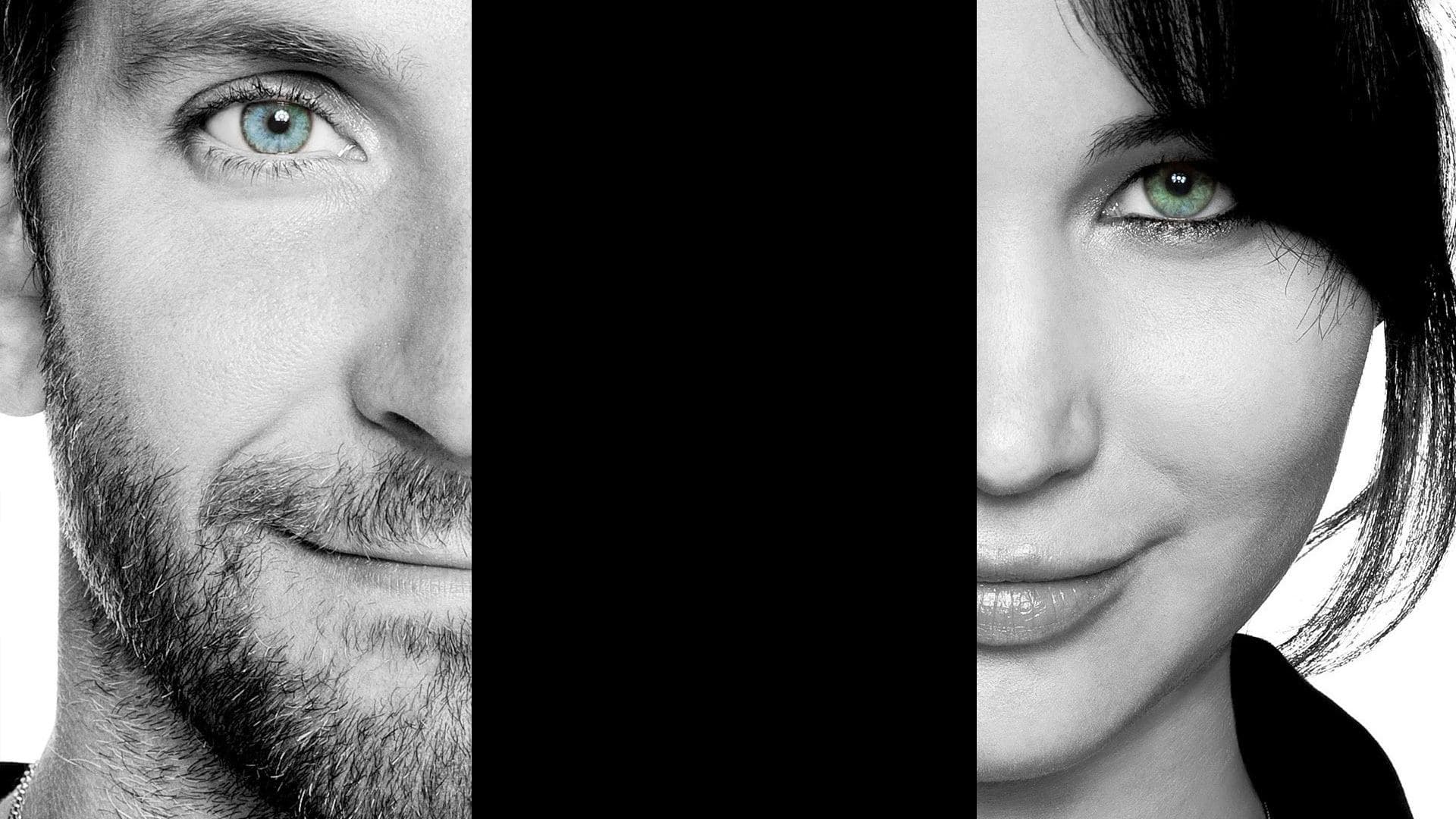 Silver Linings Playbook key art