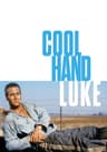 Cool Hand Luke movie poster