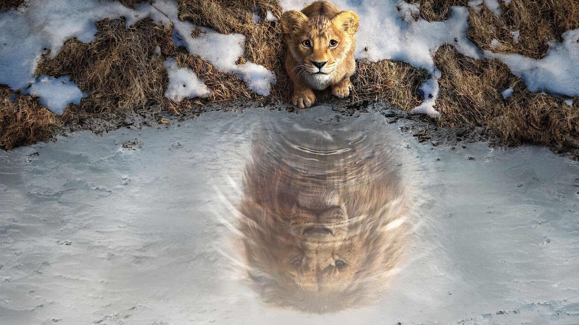 Mufasa The Lion King key art