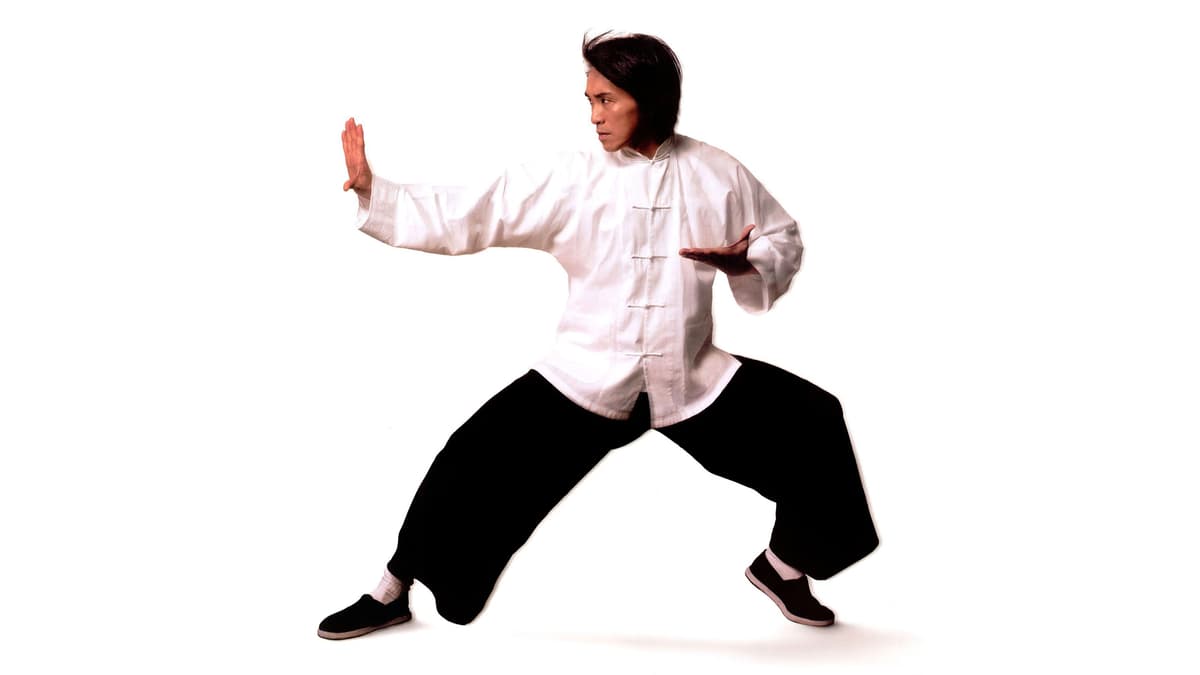 Kung Fu Hustle key art