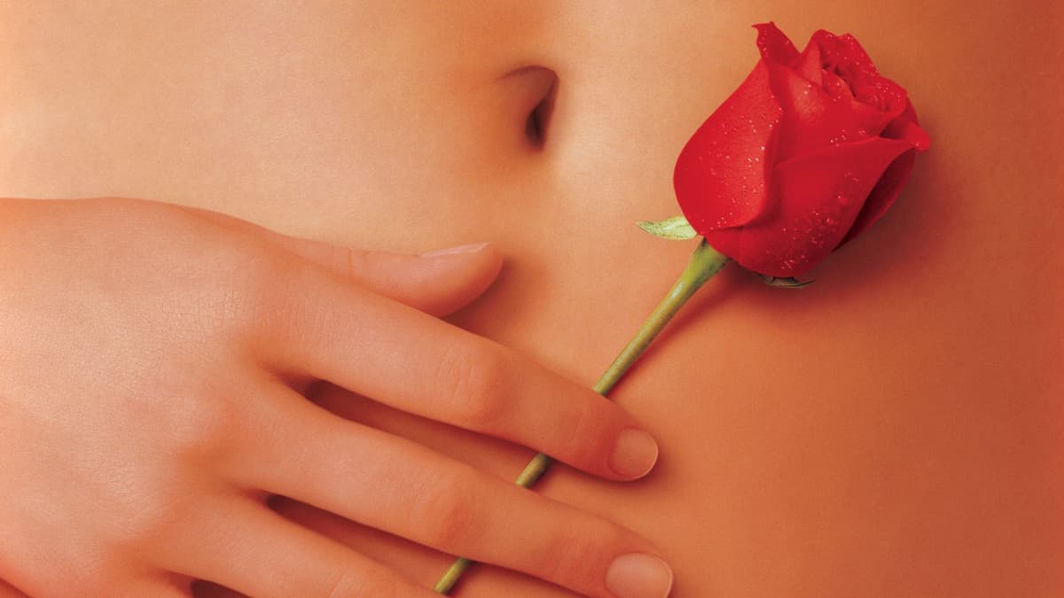 American Beauty key art