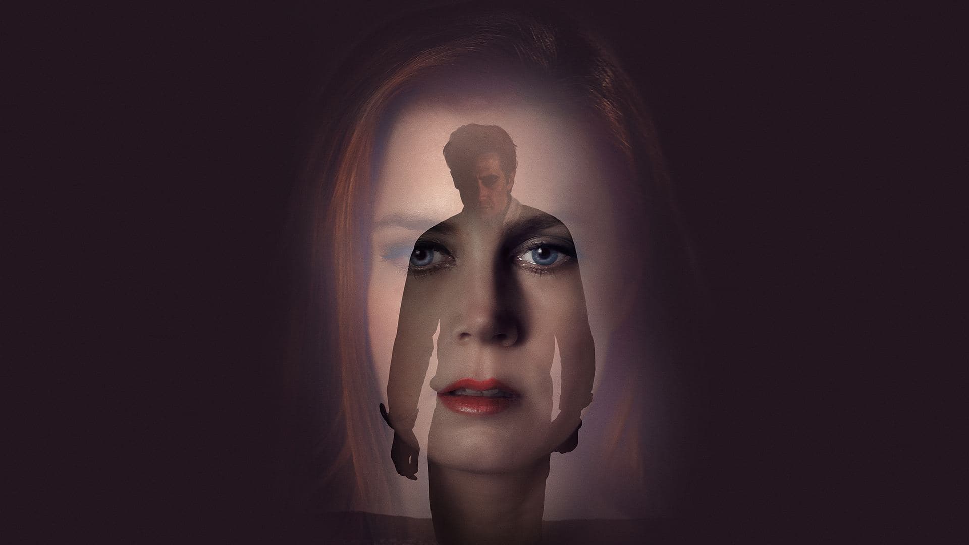 Nocturnal Animals key art