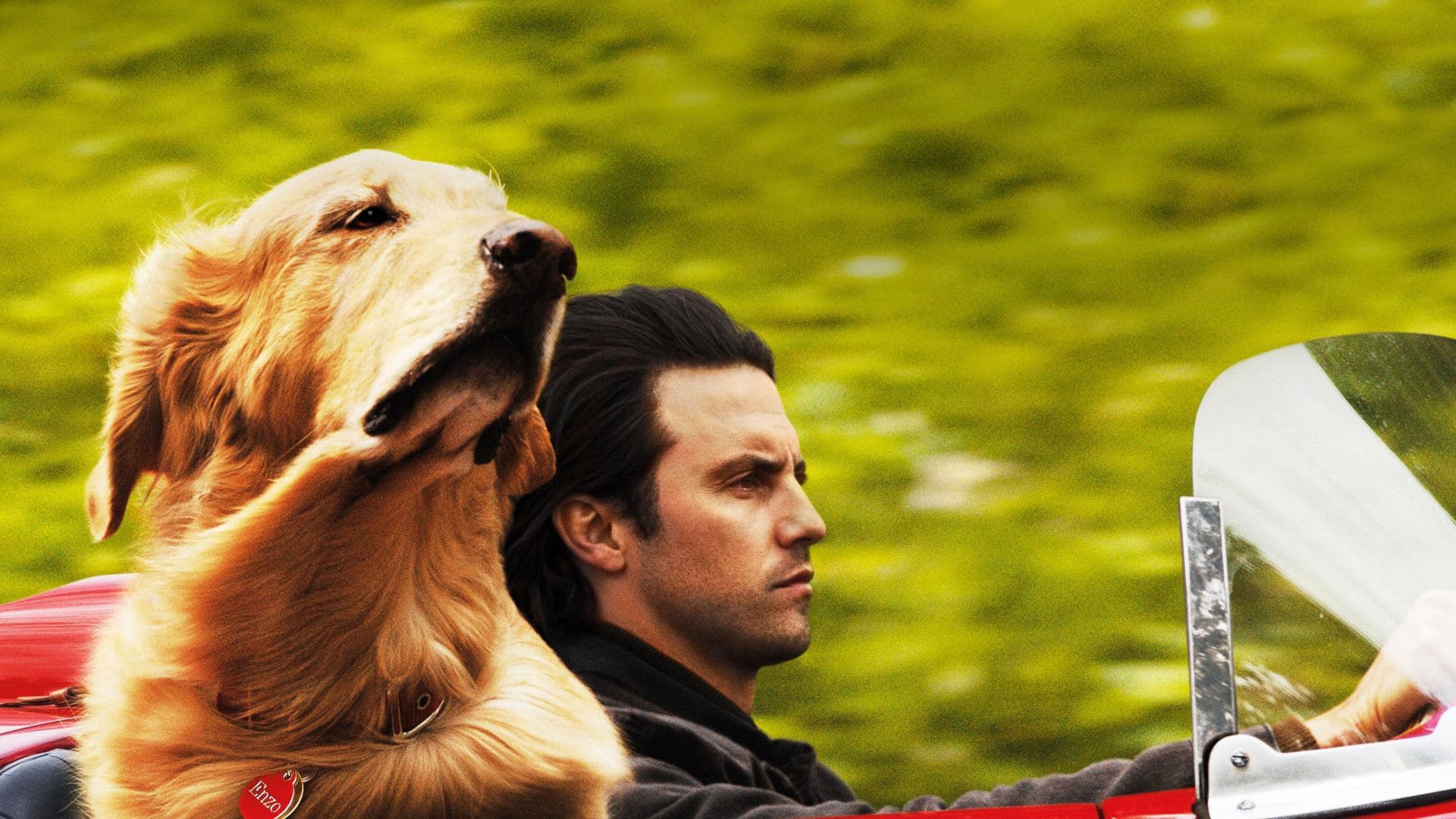 The Art of Racing in the Rain key art