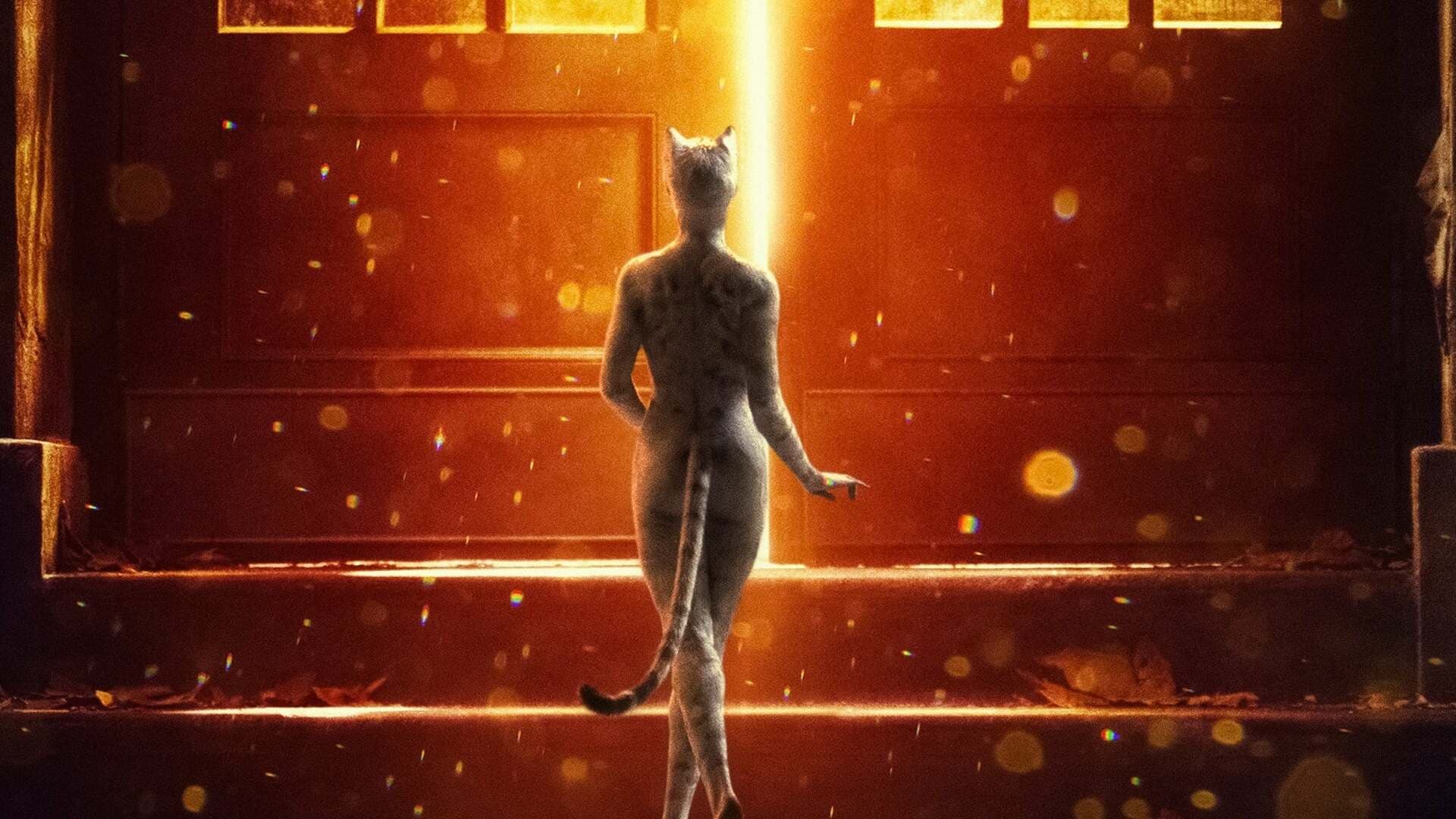 Cats key art