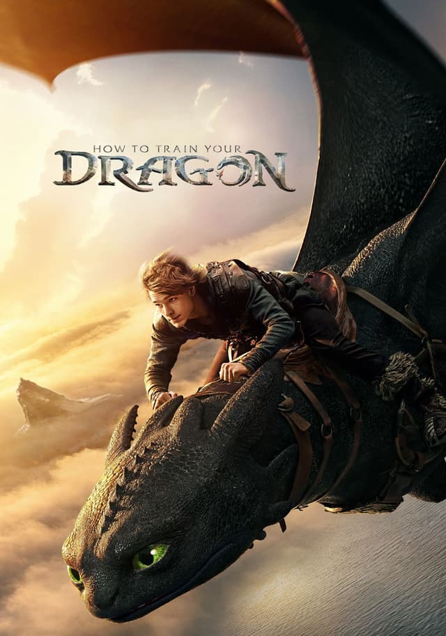 How to Train Your Dragon movie poster