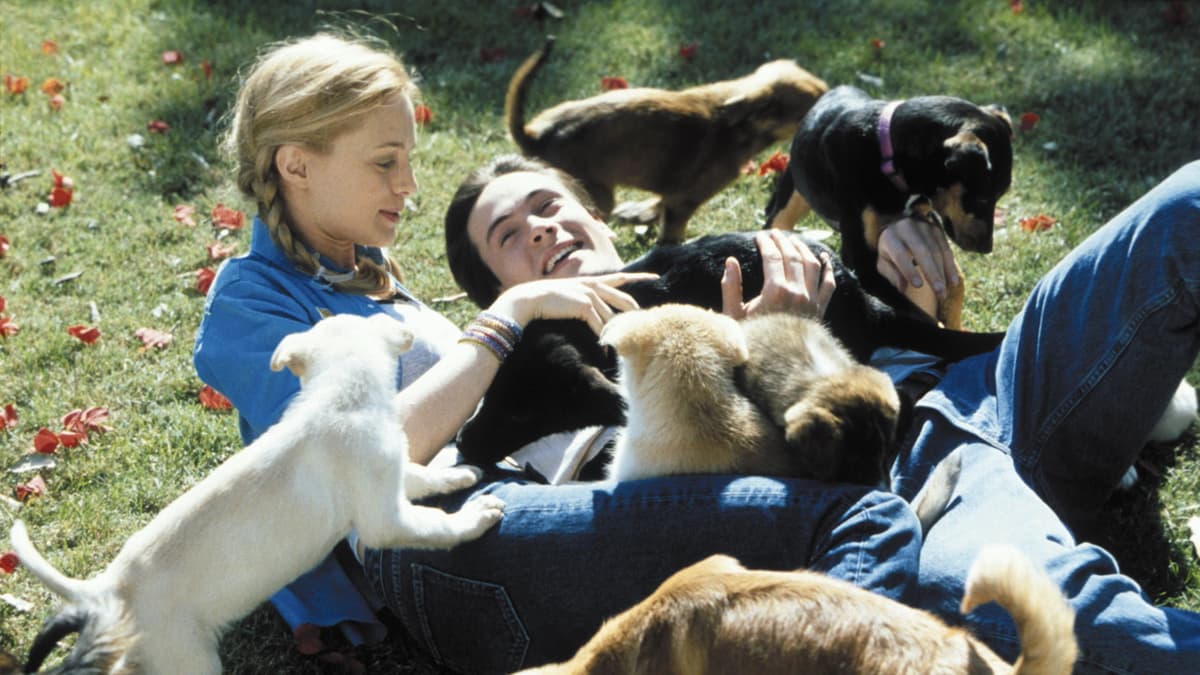 Say It Isn't So key art