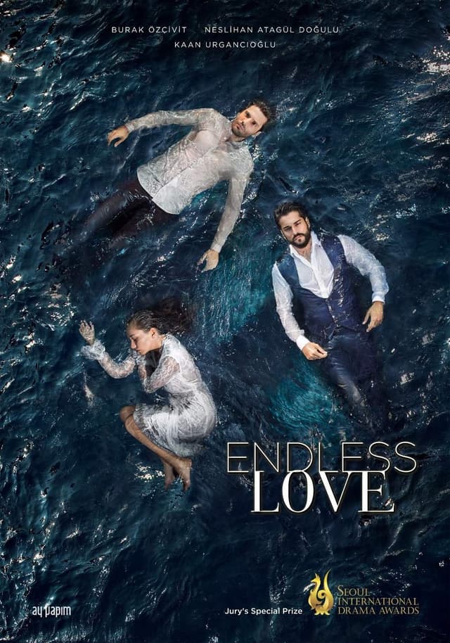 Endless Love movie poster
