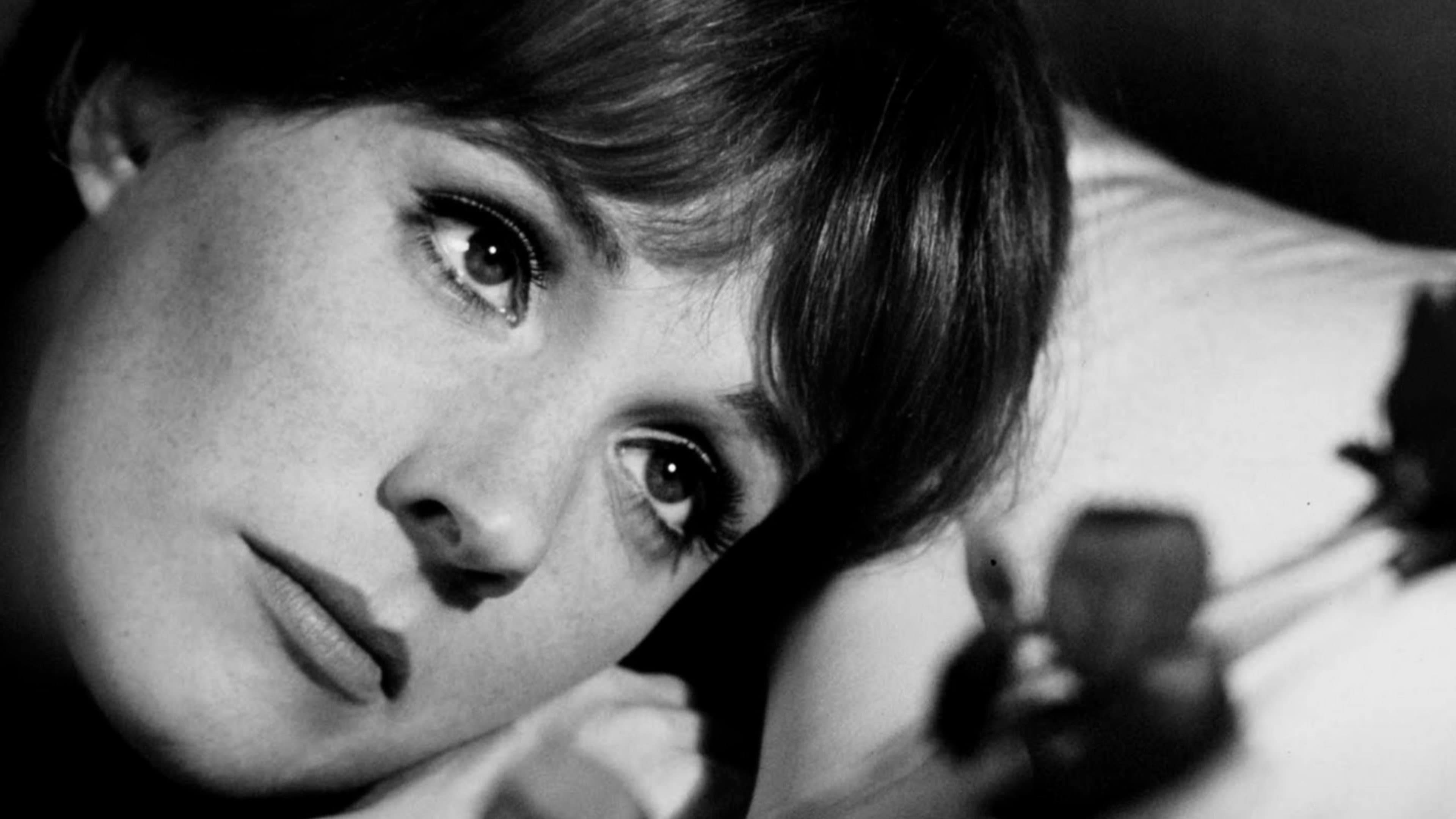 Darling Lili key art